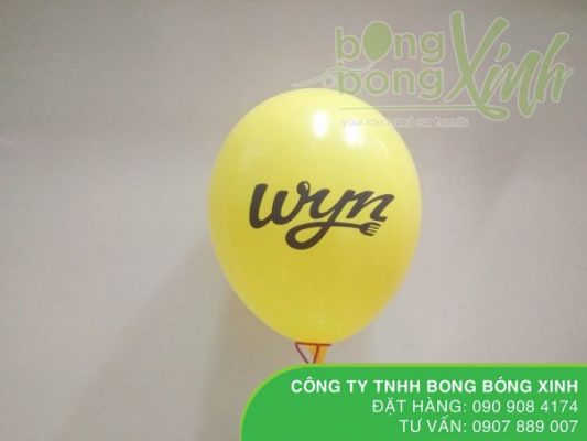 In logo WYN lên bong bóng tphcm 